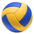 Volleybal